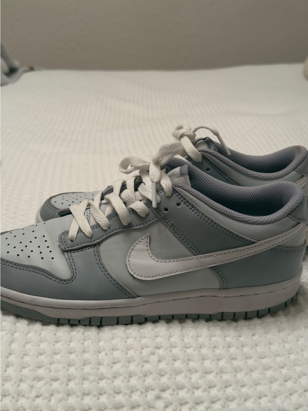 Nike dunks Low-Top Sneakers in Light Gray and White